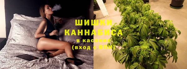 ешки Алексин