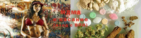 ешки Алексин