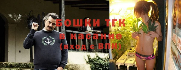 ешки Алексин