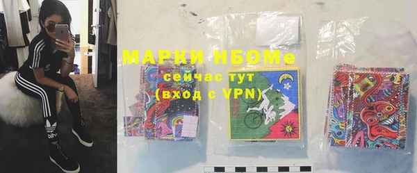 ешки Алексин